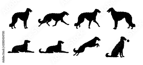 Elegant Borzoi Dog Silhouettes, Set of 8 Poses, Vector Art for Canine Enthusiasts and Pet Lovers