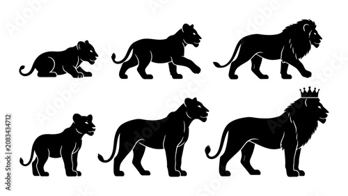 Lion Life Cycle Stages, Silhouette Vector Set: Cub, Adolescent, Adult Female, Male, King Lion with Crown, Animal Evolution, Growth Progression, Wildlife Icons