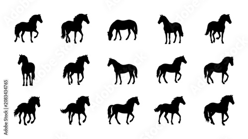 Canvastavla Set of 15 Horse Silhouettes, Equestrian Animal Poses, Black Vector Graphics for