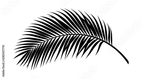 Single tropical palm frond leaf icon silhouette.