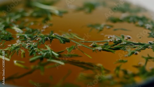 Ultra realistic cinematic footage of beverage with herbs floating on surface, macro detail, no people, 4K UHD
