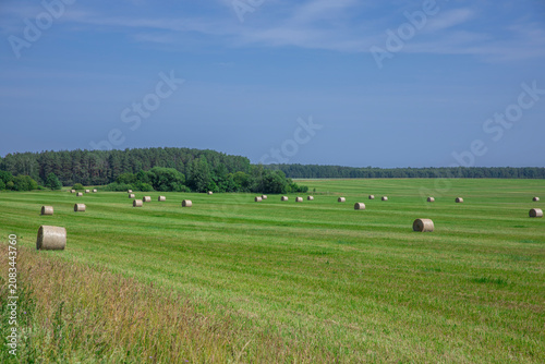 Tableau sur toile bales of hay in a freshly mown field under the summer sky, rural landscape and f