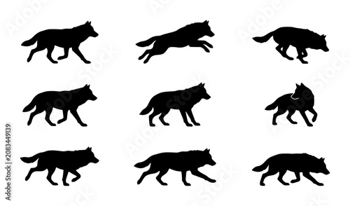 Foto Wolf Silhouette Animation Set, Wild Animal Motion Graphics, Canine Poses Vector