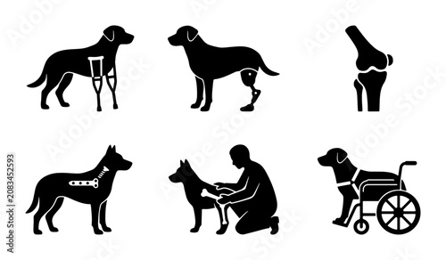 Canine Mobility Aids & Veterinary Care Icons: Dog Crutches, Prosthetics, Wheelchairs, Surgery, Rehabilitation, Vet Exam