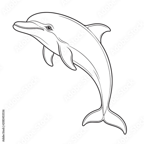Fotografía Minimalist dolphin line art vector, jumping bottlenose dolphin outline illustrat