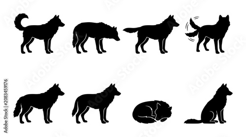 Foto Wolf Silhouette Collection, Canine Animal Poses Vector Set, Wild Dog Graphics, N