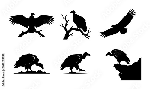 Foto Vulture Silhouettes, Bird of Prey Vector Icons, Wildlife Collection, Nature Elem