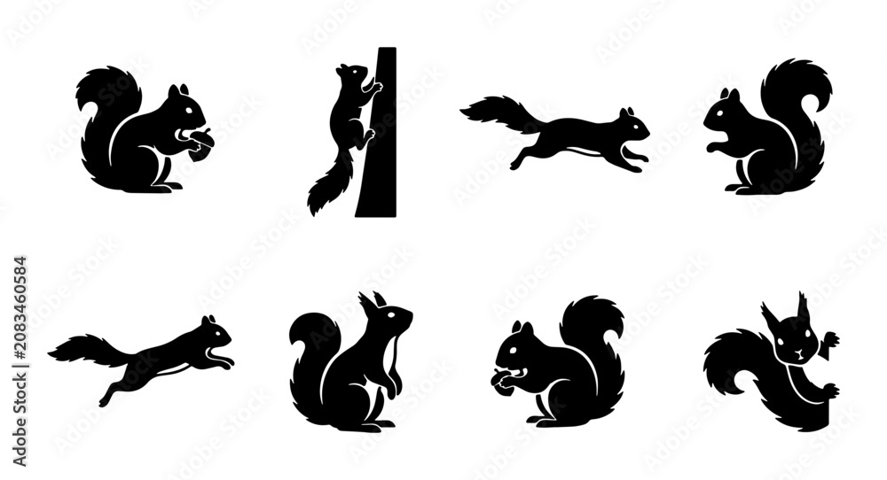 Fototapeta premium Set of Eight Black Squirrel Silhouettes, Diverse Poses, Woodland Wildlife Vector Icons, Nature Animal Graphics