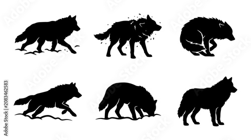 Konstfotografi Wolf Silhouettes Collection, Six Dynamic Poses, Wild Animal Vector Graphics, Bla
