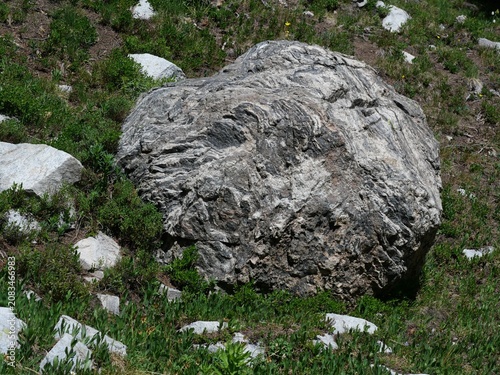 Foto Large Migmatitic Gneiss Boulder Along Mitchell Lake Trail, Indian Peaks Wilderne