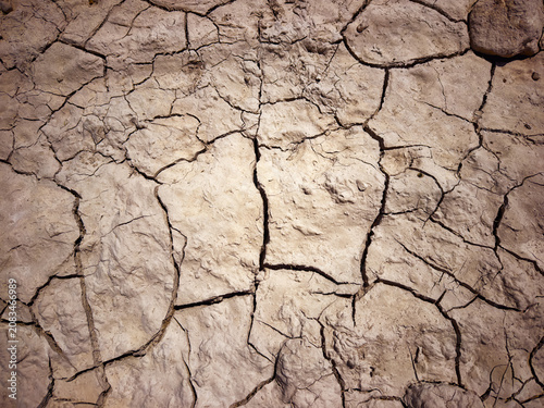 Arid land, drought