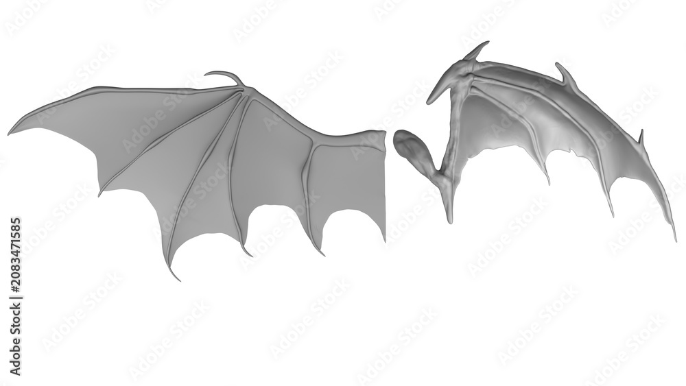 Fototapeta premium An image showing an example of a bat wing, a fantasy creature, and a wing resembling a dragon's or bat's head on a transparent background. Example of a dragon wing.