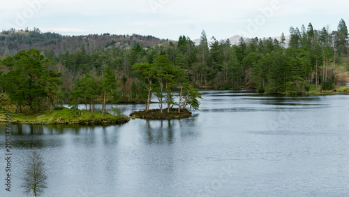 Tarn Hows lake in the Lake District, UK. The lake is surrounded by wooded slopes