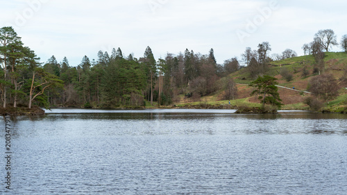 Tarn Hows lake in the Lake District, UK. The lake is surrounded by wooded slopes