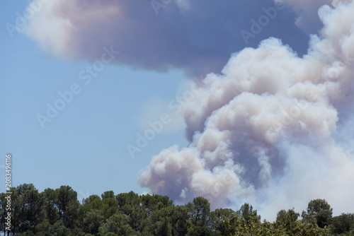 Bild auf Leinwand Smoke plume over Catalonia, Spain during forest wildfire
