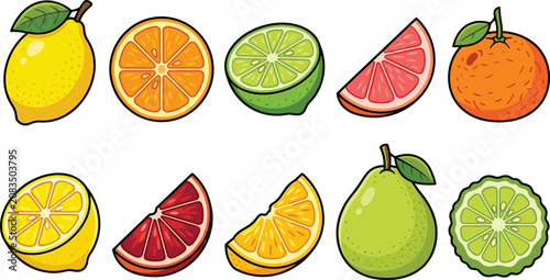 Fotografie Citrus fruit vector illustration icon set featuring fresh whole and sliced lemon