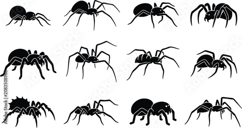 Photos Spider silhouettes collection diverse arachnid vector graphics for halloween and