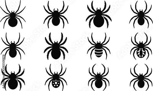 Foto Black spider silhouettes on white background for halloween or arachnid designs