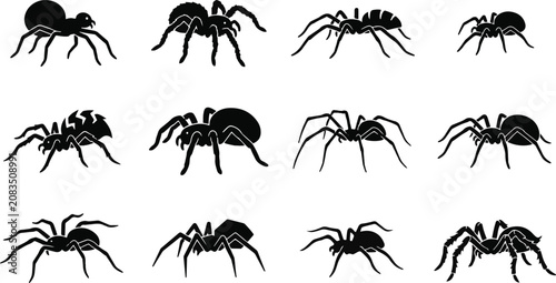 Photos Spider silhouettes collection diverse arachnid vector graphics for halloween and