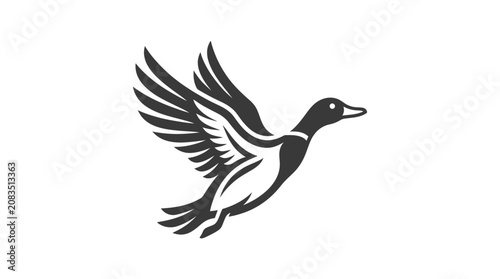 Bild auf Leinwand Black and white duck in flight.
