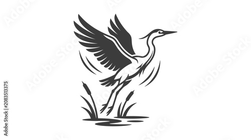 Foto Black and white heron standing tall.