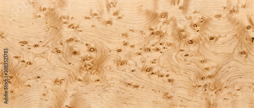 Burl wood texture with light natural grain seamless exotic hardwood background