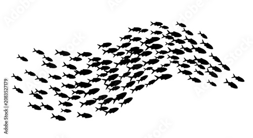 Принти на полотні School of fish swim together in unison on white background