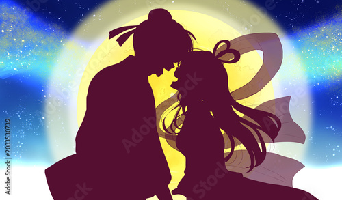 向かい合う織姫と彦星イメージ　星空　天の川　月　シルエット