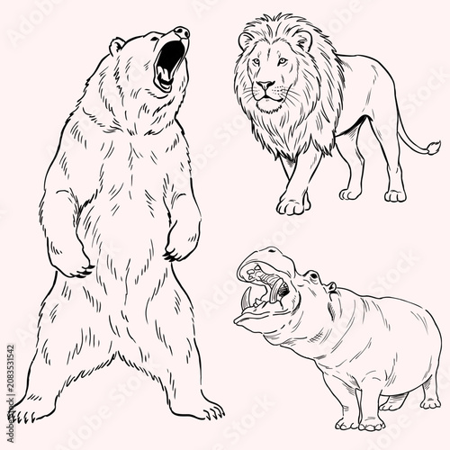 Photography Wild Animals Collection with Standing Grizzly Bear Roaring Lion and Hippopotamus