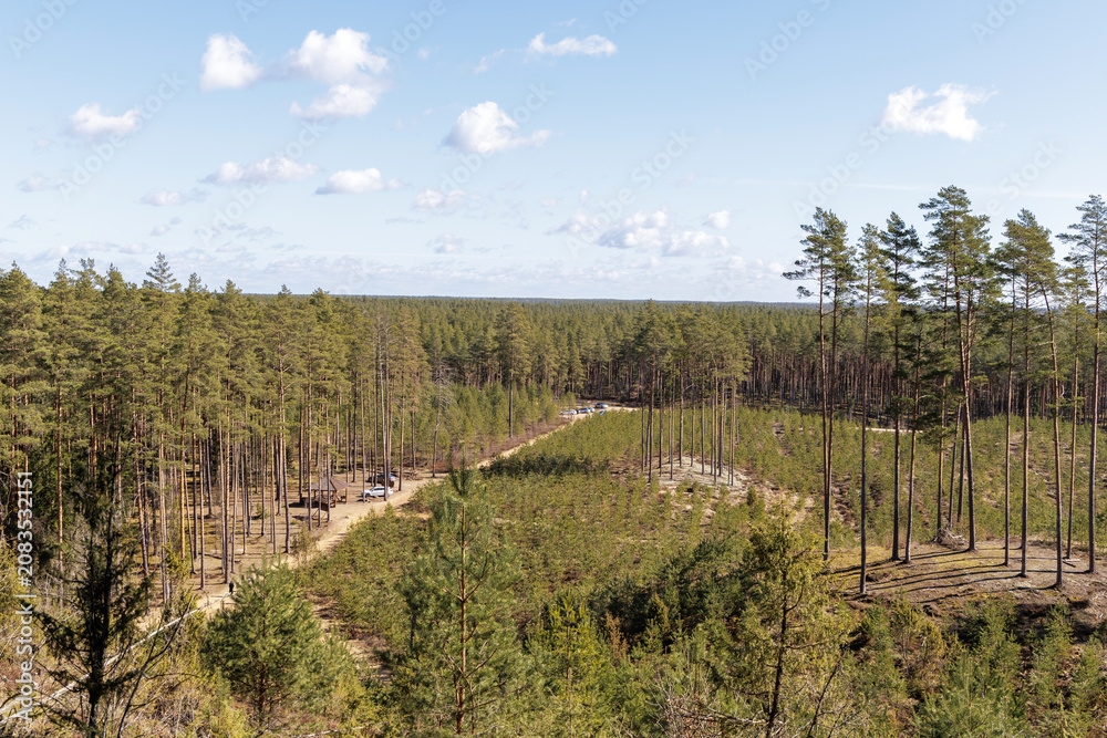 Fototapeta premium Wide Forest Landscape and Country Road from Above