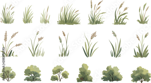 Set of watercolor style green grass tufts wild plants and bushes vector elements on white background