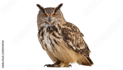 Obraz na plátně Eurasian Eagle Owl with bright orange eyes and detailed plumage