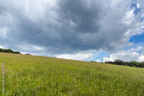 Meadow Under Stormy Clouds