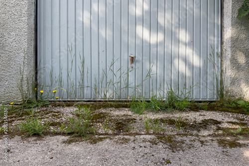Fotografie Nature reclaims the garage door.