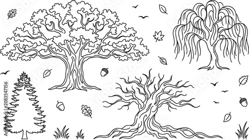 Tableau sur toile Diverse Forest Tree Vector Set Featuring Majestic Oak Weeping Willow Pine and Ba