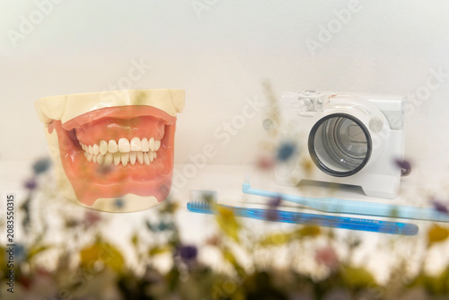 Konstfotografi denture model と歯科用カメラ、歯ブラシをドライフラワーとともに配置したスタイリッシュな歯科医院のイメージカット。清潔感と自然な雰囲気を演出