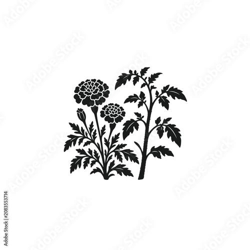 Canvastavla Marigold Tomato Companion Planting Layout