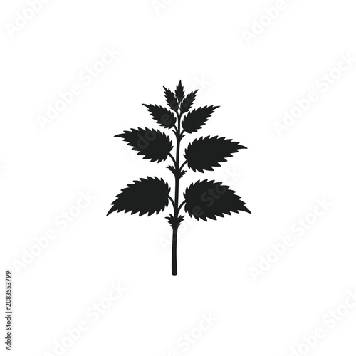 Stinging Nettle Branch Organic Silhouette