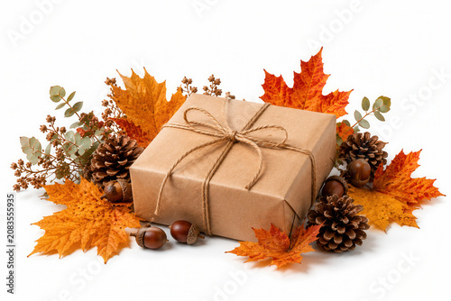 Brown gift wrapped with twine sits amid autumn leaves