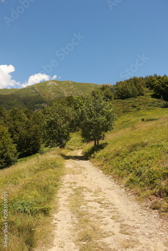 sentiero CAI 495 foce della Verginetta monte Libro Aperto