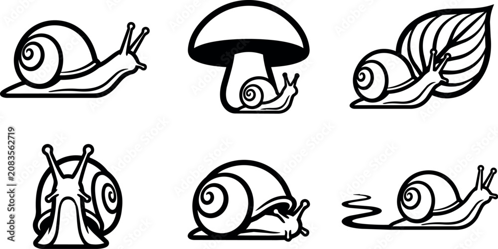 Fototapeta premium Six snails in various poses and settings