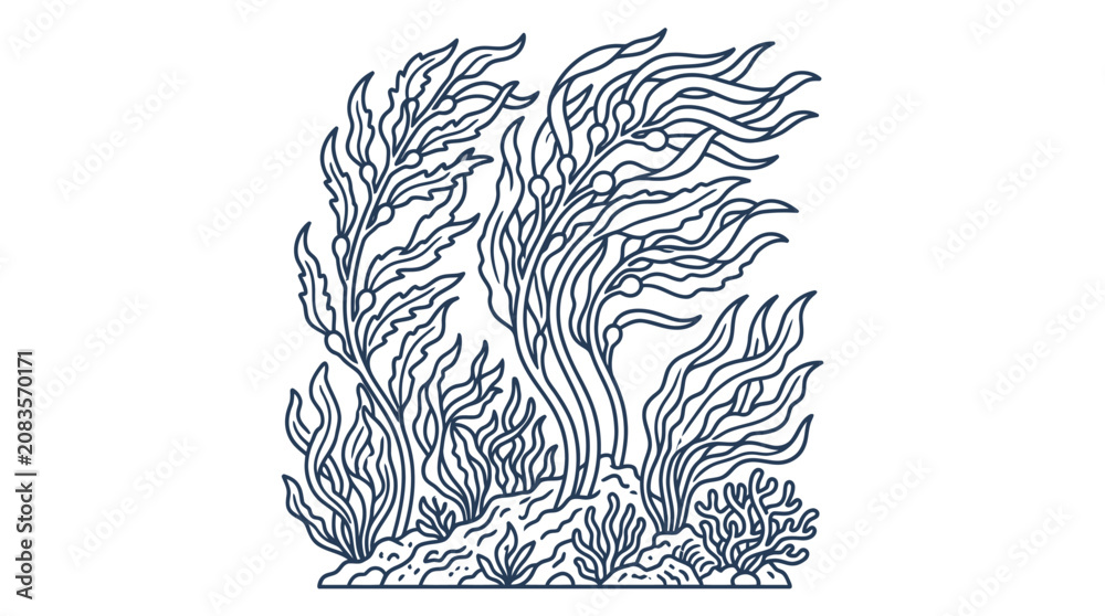 Fototapeta premium Underwater Kelp and Seaweed Outline Vector Illustration