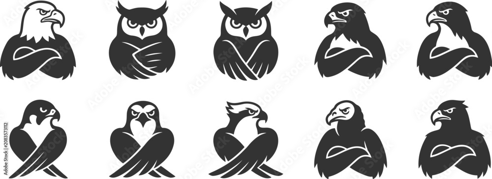 Obraz premium Eagle and owl icons with arms crossed in professional and stern poses set
