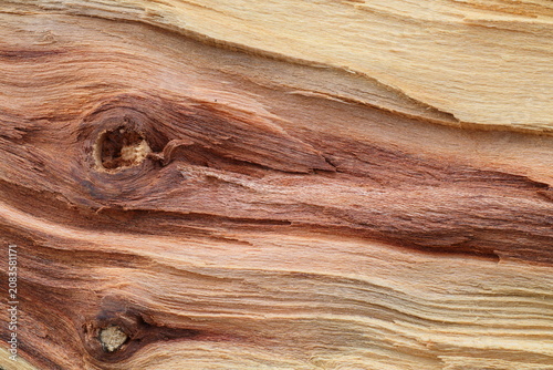 Natural Wood Grain with Knots Background