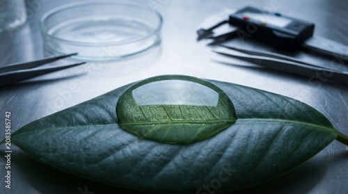 Transparent liquid droplet resting carefully upon a green leaf surface inside a professional scientific laboratory setting