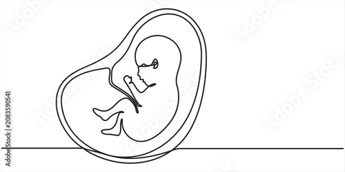 Konstfotografi fetus continuous one line drawing, minimalist design isolared, outline illustration on white background