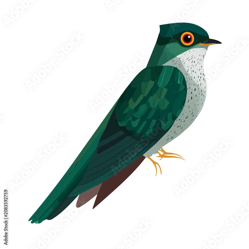 Simple flat 2D vector graphic of a Cuckoo in modern icon style, isolated on a white canvas
