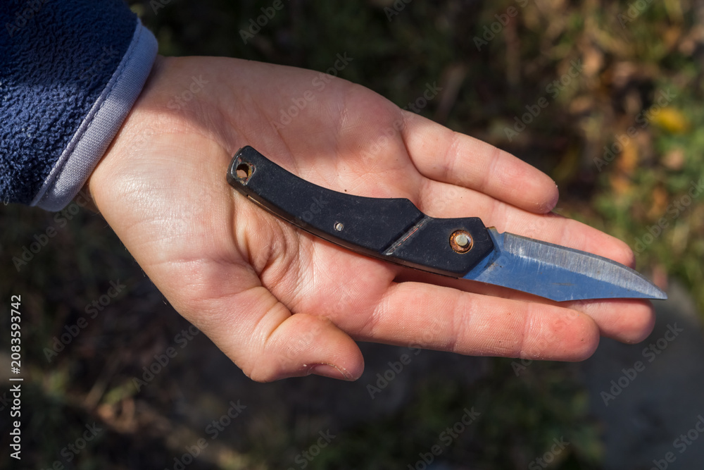 Fototapeta premium Small Folding Knife in Hand