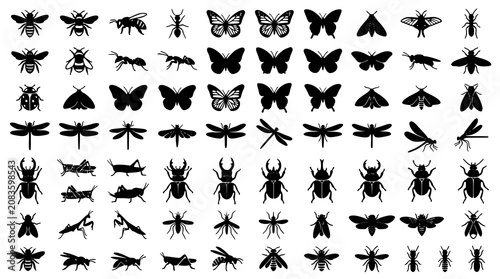 Cuadro en lienzo Common Insect Silhouette Collection with Bees Butterflies Ants and Garden Bugs B