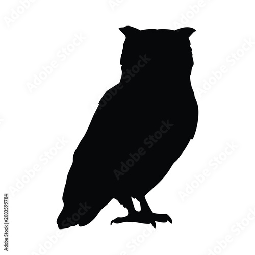Owl silhouettes, owl perched on branch silhouette, black owl spread wings silhouette, Halloween spooky owl silhouette